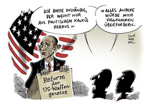 Reform des US-Waffenrechts