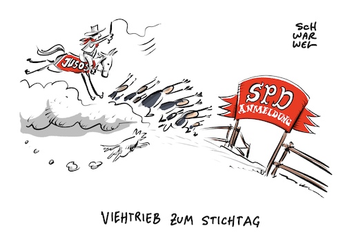 SPD Stichtag Basisvotum