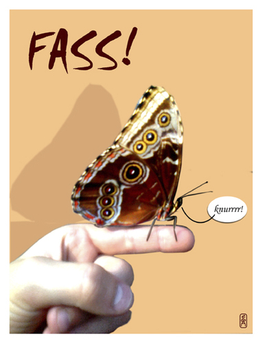 Cartoon: FASS! (medium) by edda von sinnen tagged walter,andi,zenf,zensenf,zenundsenf,frühling,butterfly,schmetterling,spingtime,edda,von,sinnen
