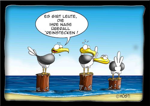 Cartoon: Höstis Emma und Konsorten (medium) by Hösti tagged hösti,cartoons,hoesti,stephan,höstermann,emma,und,konsorten,möwe