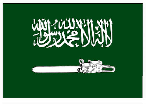 Cartoon: New Saudi flag ! (medium) by Shahid Atiq tagged afghanistan,balkh,helmand,kabul,london,nangarhar,attack