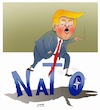 Cartoon: Trump will trash the expired NAT (small) by Shahid Atiq tagged afghanistan,nato,bahar,hiba,rahio