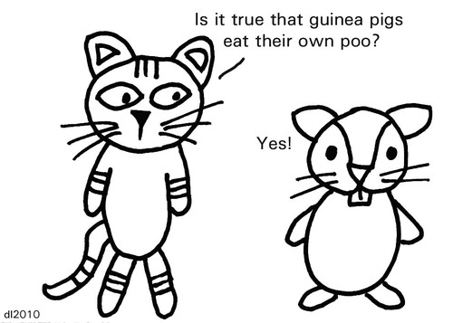 Cartoon: Gross But Cute (medium) by Deborah Leigh tagged grossbutcute,deborahleigh,cat,kitty,guineapig