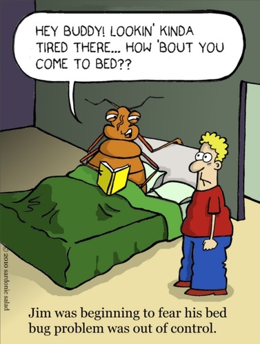 Cartoon: bed bug problem (medium) by sardonic salad tagged bed,bugs,epidemic,pests