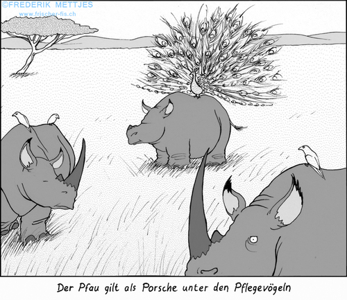 Cartoon: Überkompensation (medium) by Zapp313 tagged nashorn,pfau,überkompensation,minderwertigkeitskomplexe,porsche