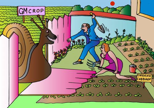 Cartoon: Garden And Crop (medium) by Alexei Talimonov tagged garden,crop