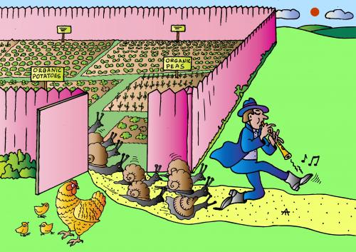 Cartoon: Snails (medium) by Alexei Talimonov tagged garden,snails,potatoes