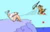 Cartoon: Attack (small) by Alexei Talimonov tagged attack,polar,bear,hunting,pole
