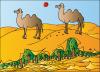 Cartoon: Desert (small) by Alexei Talimonov tagged desert