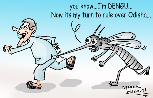 Cartoon: Dengu in Odisha (medium) by mangalbibhuti tagged odisha,dengu,naveenpatnaik,mangalbibhuti,musquito