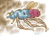 Cartoon: Big Flying Insect (small) by Cartoons and Illustrations by Jim McDermott tagged bugs,insect