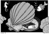 Cartoon: Oyster (small) by srba tagged oyster,pearl,books