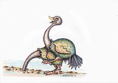 Cartoon: ostrich sex (medium) by charlly tagged ostrich