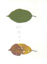 Cartoon: leafs (small) by charlly tagged leaf