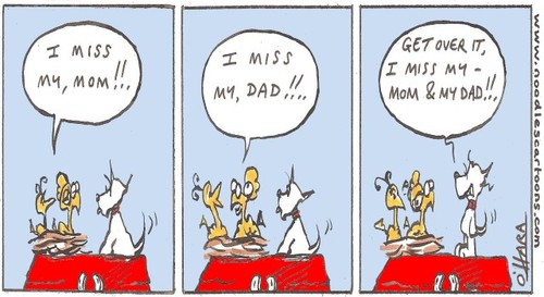 Cartoon: everybody hurts sometimes.. (medium) by noodles cartoons tagged birds,dog,scotty,mom,dad,life,destiny