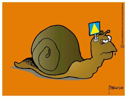 Cartoon: Evolution Snail (medium) by marcosymolduras tagged snail,caracol,evolucion,evolution