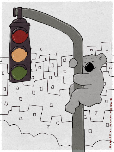 Cartoon: Ampelkoala Olaf (medium) by hollers tagged koala,koalition,olaf,scholz,ampel,ampelkoalition,regierung,trägheit,klettern,hängen,koala,koalition,olaf,scholz,ampel,ampelkoalition,regierung,trägheit,klettern,hängen