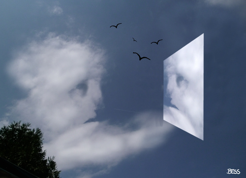 Cartoon: cloud face 7 (medium) by besscartoon tagged spiegel,gesicht,himmel,wolken,vögel,bess,besscartoon