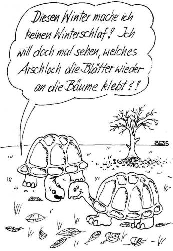 Cartoon: ohne Titel (medium) by besscartoon tagged herbst,winter,blätter,schildkröte,laub,bess,besscartoon