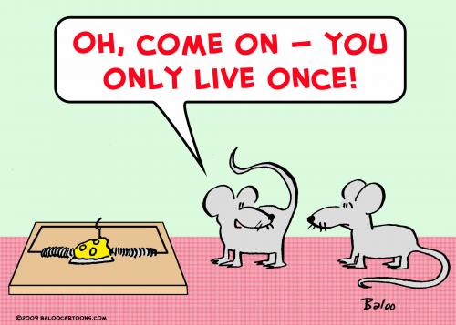 Cartoon: mice mousetrap only live once (medium) by rmay tagged mice,mousetrap,only,live,once